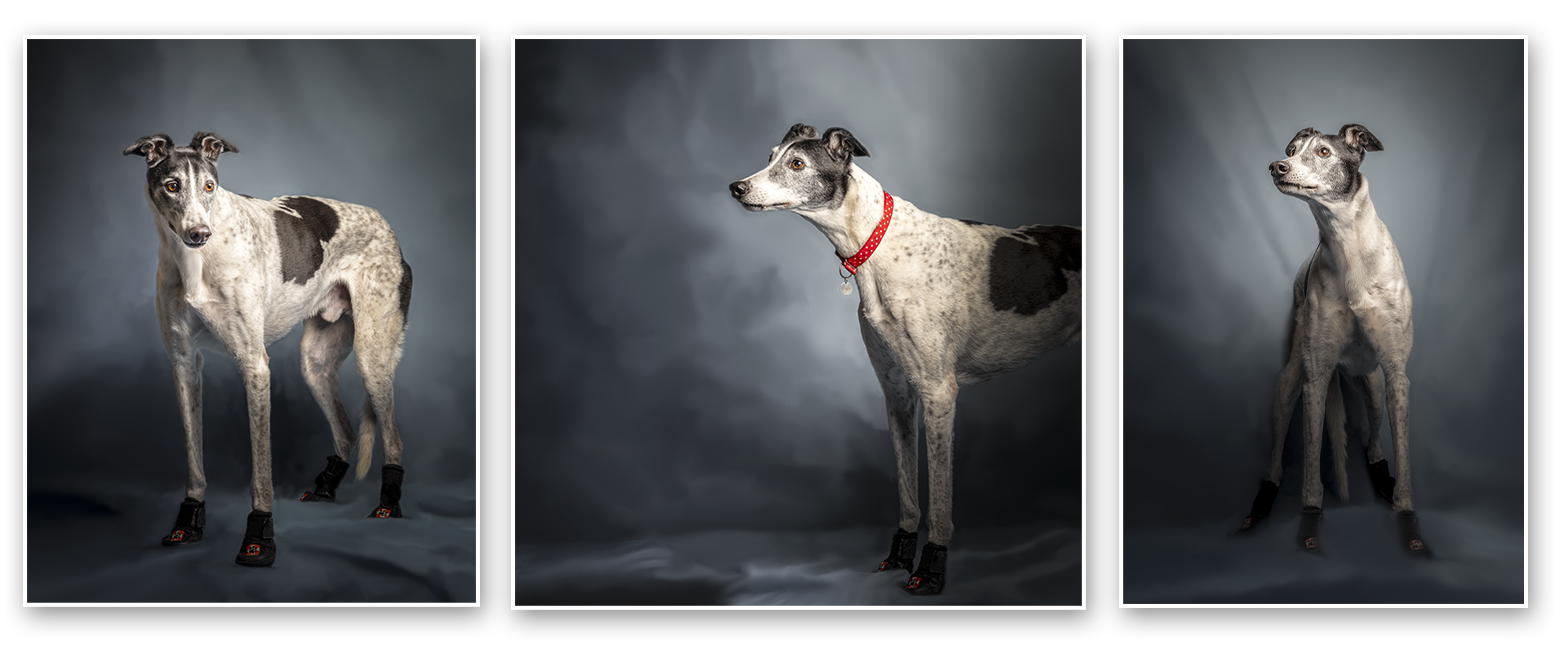 Example digital files form your portrait session